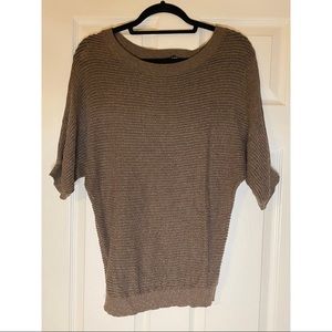 Express Sparkly Sweater